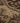 Vintage Isparta Turkish Area Rug 6x9 ft — Beige & Brown Floral (No. 39345)