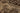 Vintage Isparta Turkish Area Rug 6x9 ft — Beige & Brown Floral (No. 39345)
