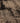 Vintage Manisa Turkish Area Rug 5x10 ft — Gray Distressed
