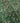 Vintage Isparta Turkish Area Rug 5x8 ft — Green & Gray Overdyed