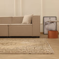 Vintage Manisa Turkish Area Rug 6x9 ft — Beige & Brown Distressed (No. 39903)