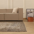 Vintage Manisa Turkish Area Rug 6x9 ft — Beige & Brown Distressed