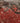 Vintage Isparta Turkish Area Rug 5x9 ft — Red & Gray Floral (No. 39923)