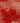 Vintage Isparta Turkish Area Rug 6x9 ft — Red Overdyed