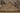 Vintage Isparta Turkish Area Rug 5x9 ft — Gray & Brown Distressed (No. 40129)