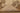 Vintage Isparta Turkish Area Rug 5x8 ft — Beige & Brown Floral (No. 40177)