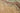 Vintage Isparta Turkish Area Rug 5x8 ft — Beige & Green Floral (No. 40184)