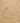 Vintage Manisa Turkish Area Rug 5x8 ft — Beige Floral (No. 40185)