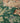 Vintage Isparta Turkish Area Rug 5x9 ft — Green & Beige Floral
