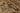 Vintage Isparta Turkish Area Rug 6x10 ft — Brown & Beige Floral