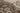 Vintage Isparta Turkish Area Rug 6x9 ft — Beige & Brown Floral (No. 40337)