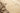 Vintage Isparta Turkish Area Rug 4x8 ft — Beige Floral (No. 40350)
