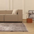 Vintage Manisa Turkish Area Rug 6x9 ft — Gray Overdyed