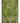 Vintage Isparta Turkish Area Rug 5x8 ft — Green & Brown Overdyed