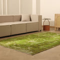 Vintage Isparta Turkish Area Rug 5x8 ft — Green & Brown Overdyed