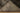 Vintage Isparta Turkish Area Rug 6x9 ft — Brown & Red Floral