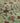 Vintage Isparta Turkish Area Rug 5x8 ft — Green Floral (No. 40926)