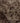 Vintage Isparta Turkish Area Rug 5x8 ft — Gray Floral (No. 40931)