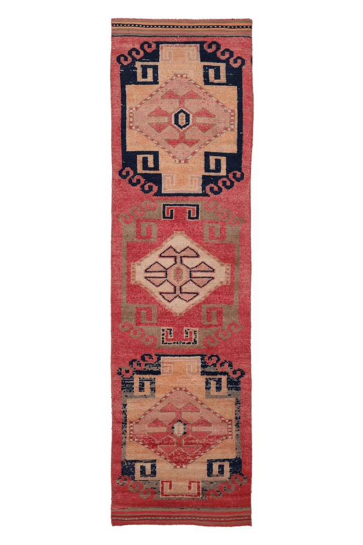 Gethveris Persian Style Runner Rug