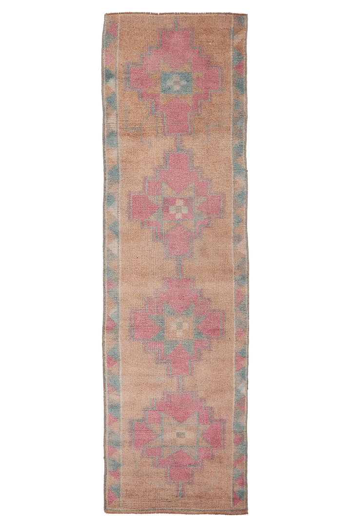 Garenex Persian Style Runner Rug