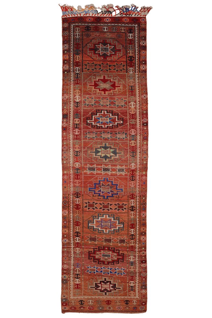 Methurenk Persian Style Runner Rug
