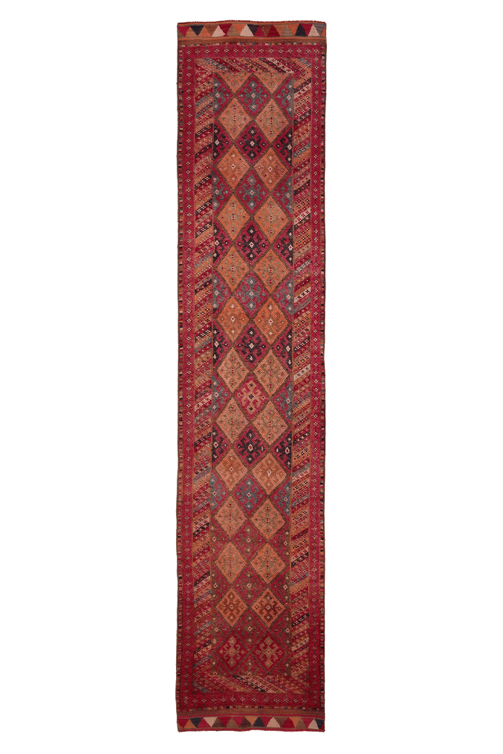 Garenel Persian Style Runner Rug