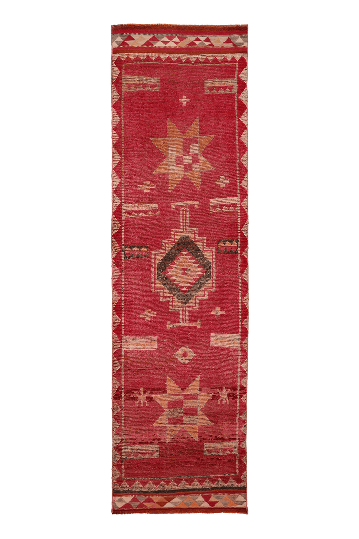 Vethurenk Persian Style Runner Rug