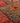 Hamerel Persian Style Runner Rug