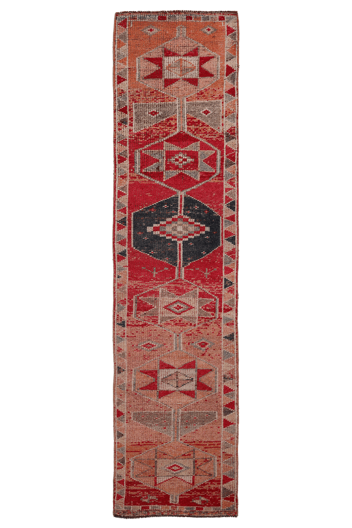 Namvekar Persian Style Runner Rug