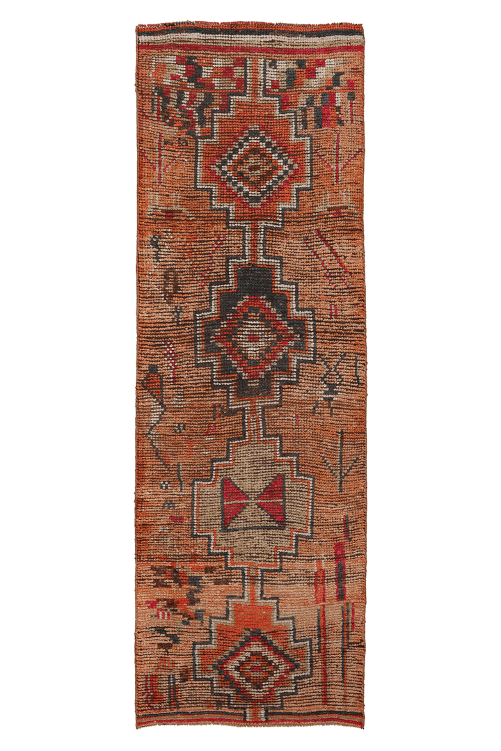 Qsenor Persian Style Runner Rug