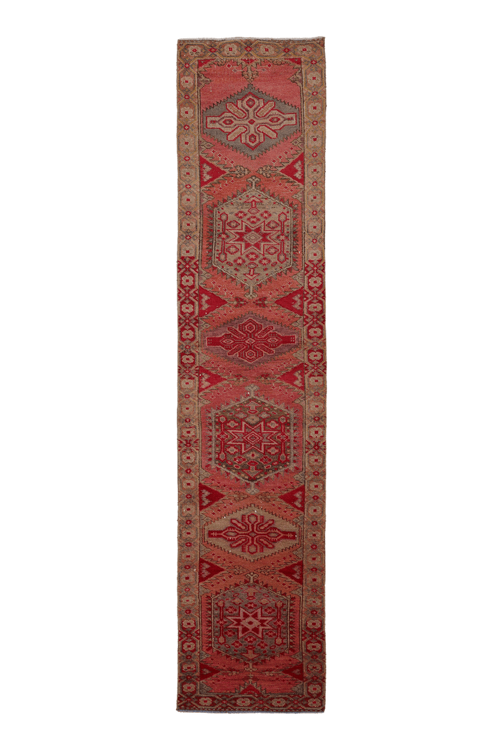 Damerel Persian Style Runner Rug