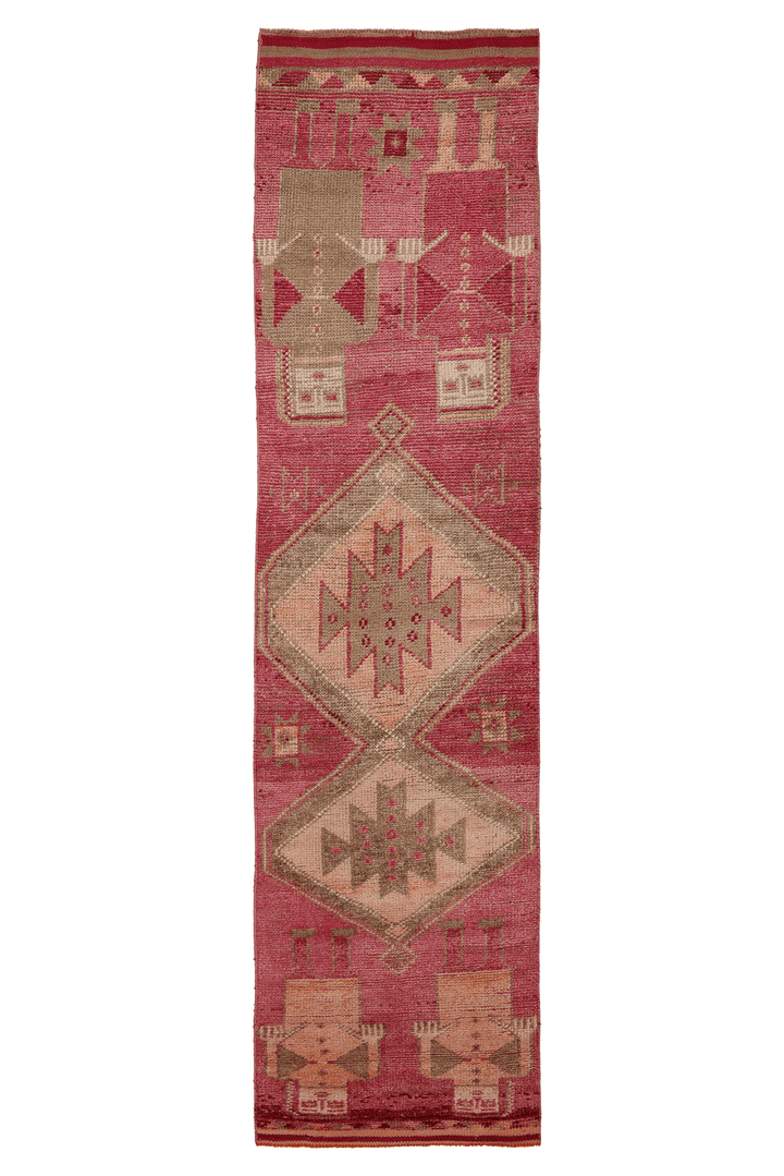 Wamerix Persian Style Runner Rug