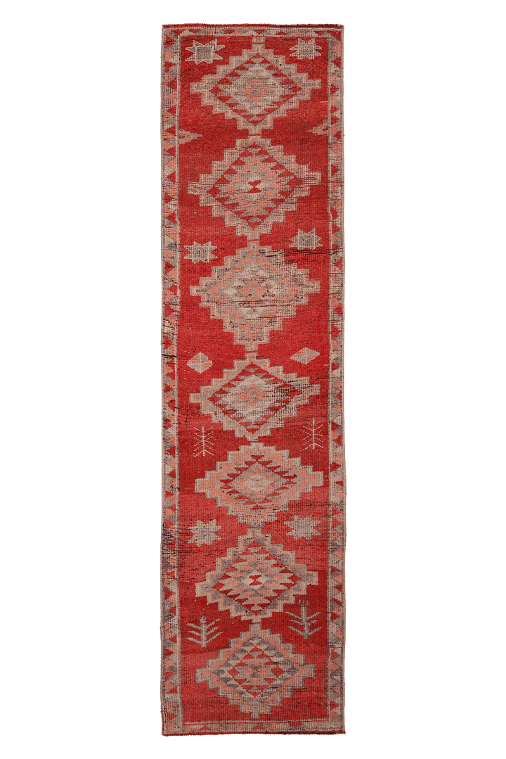 Wameron Persian Style Runner Rug