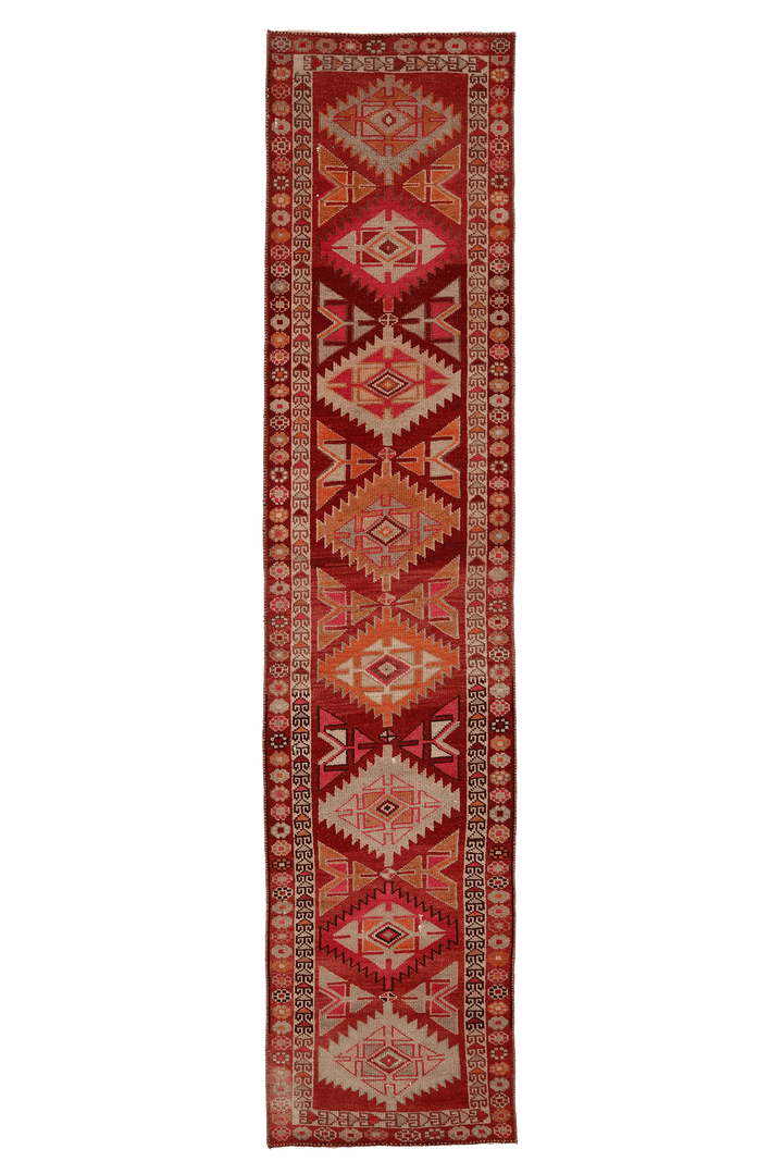 Ramerel Persian Style Runner Rug