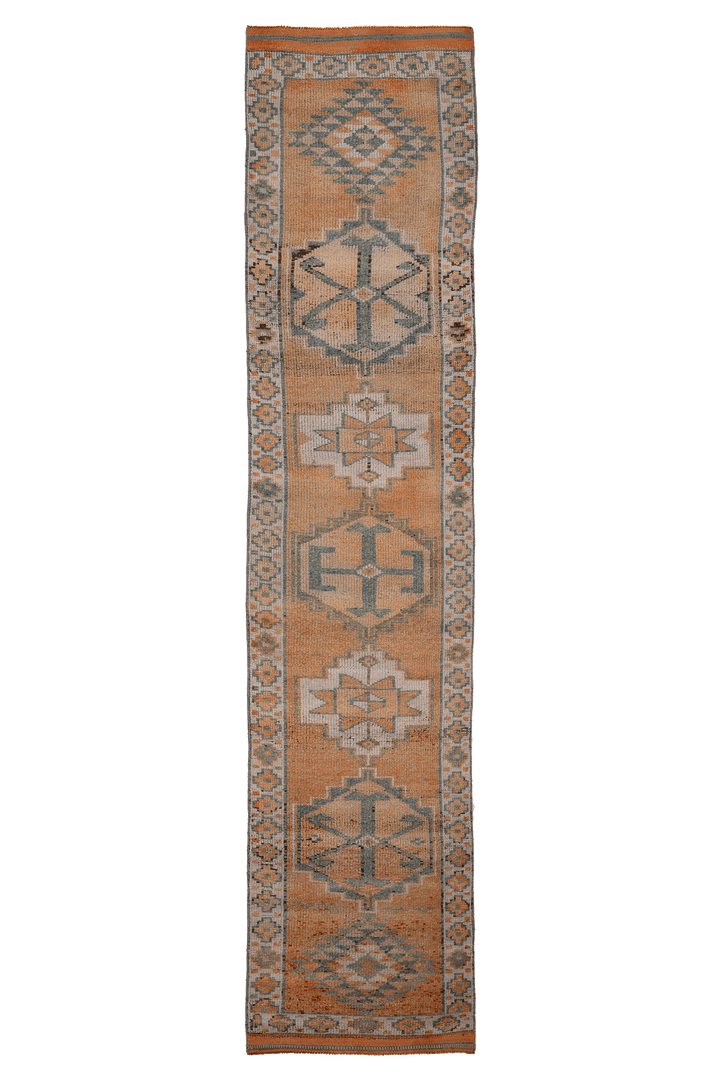 Wamerethix Persian Style Runner Rug