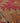 Wamerenk Persian Style Runner Rug