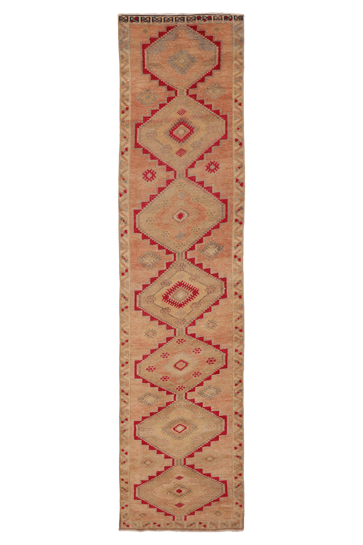 Laseneth Persian Style Runner Rug
