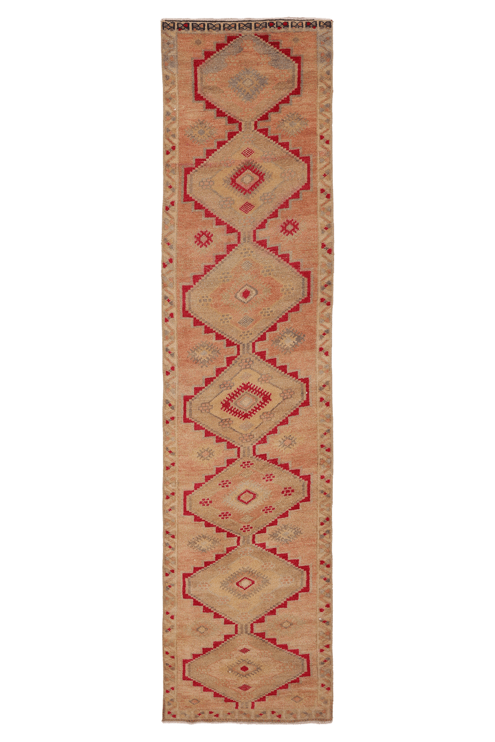 Laseneth Persian Style Runner Rug