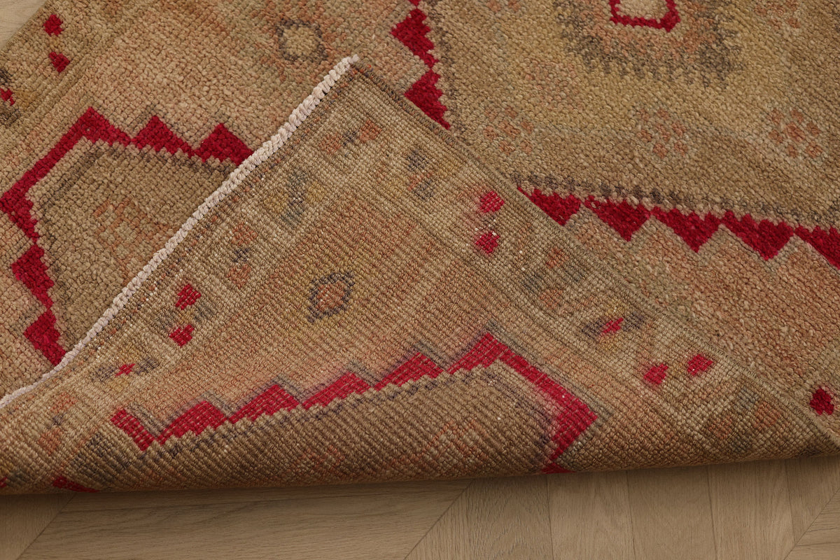 Laseneth Persian Style Runner Rug