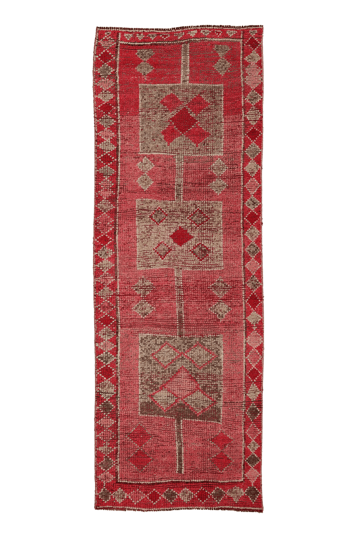 Fekhurethok Persian Style Runner Rug