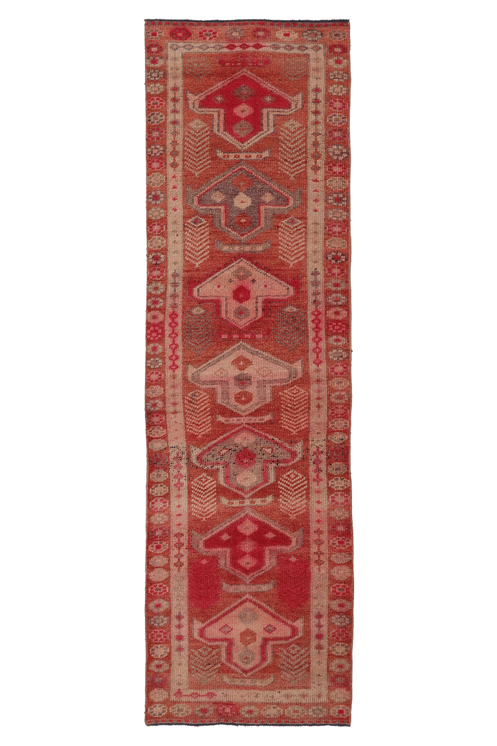 Namvelor Persian Style Runner Rug