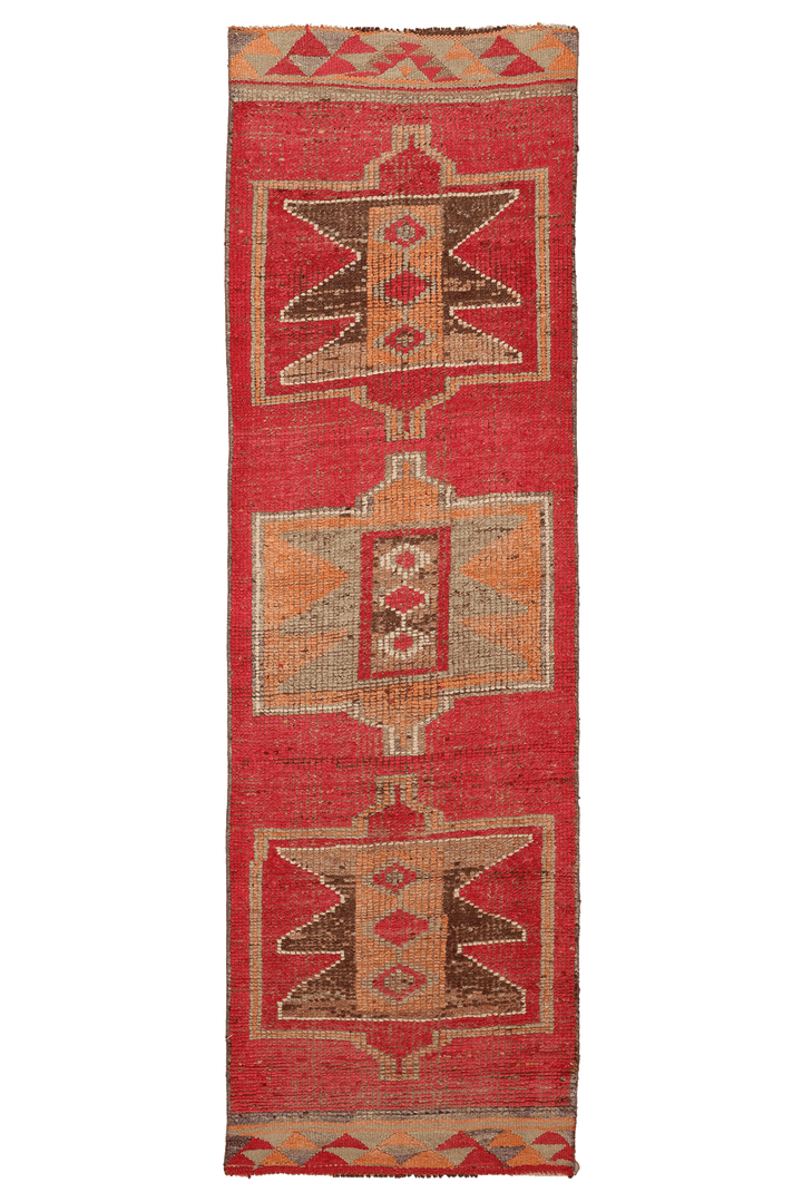 Lasenur Persian Style Runner Rug