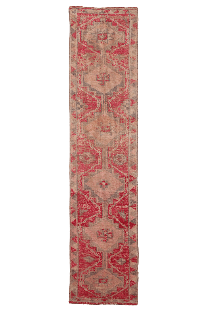 Lasenad Persian Style Runner Rug