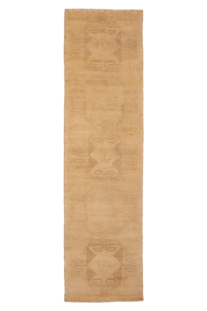 Vintage Malatya Turkish Runner Rug 3x11 ft — Beige & Brown Geometric (No. 43879)