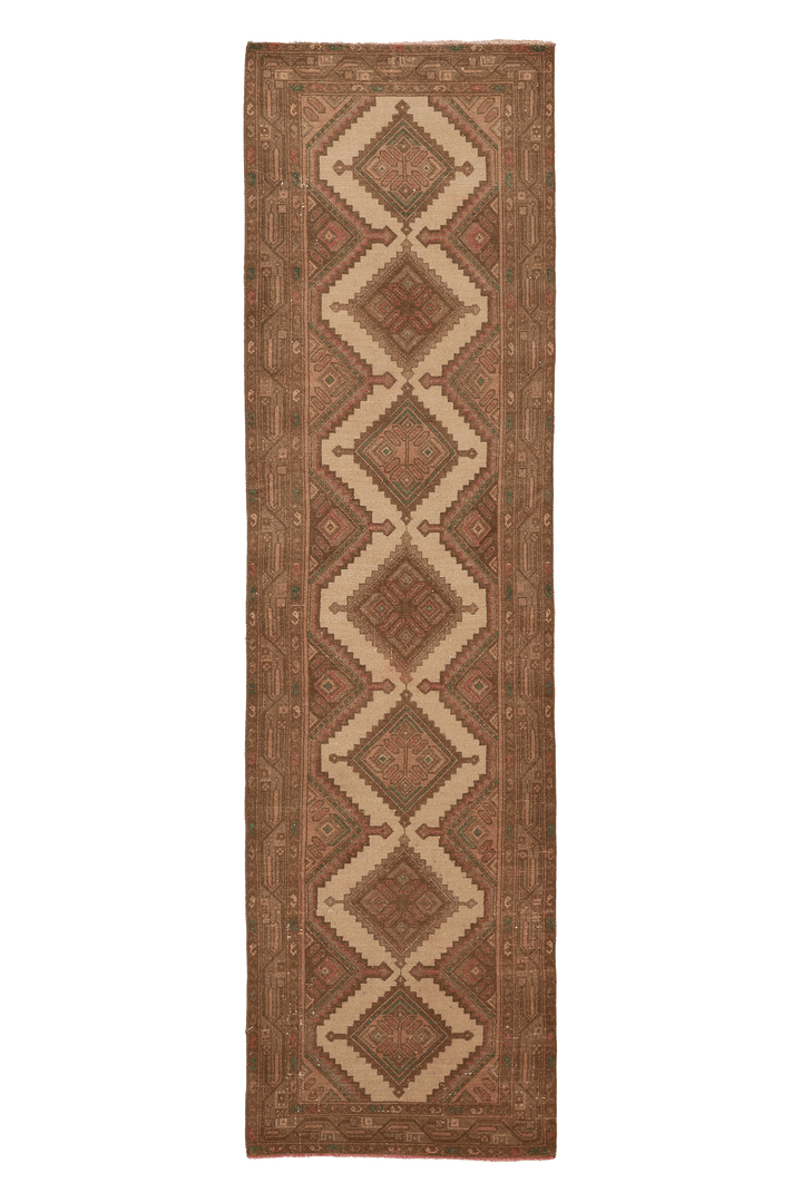 Ekrunet Persian Style Runner Rug