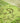 Vintage Turkish Area Rug 6x9 ft — Green Patchwork