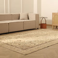 Vintage Isparta Turkish Area Rug 6x9 ft — Beige & Brown Floral (No. 47965)