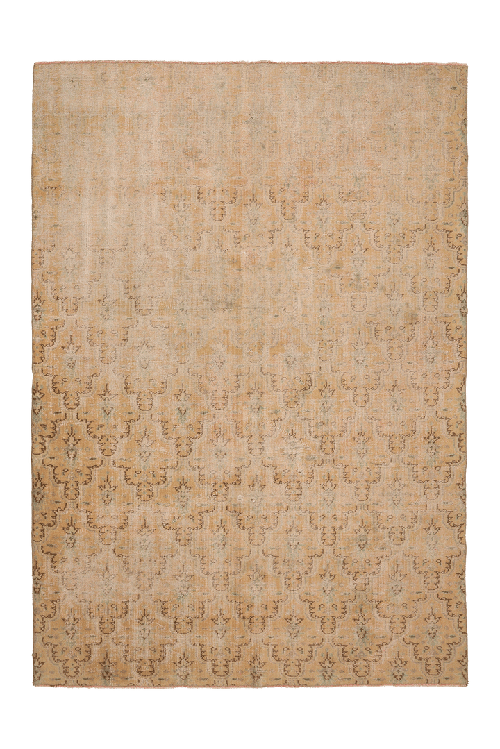 Vintage Manisa Turkish Area Rug 6x9 ft — Beige & Brown Floral