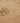 Vintage Malatya Turkish Runner Rug 2x11 ft — Beige & Pink Geometric