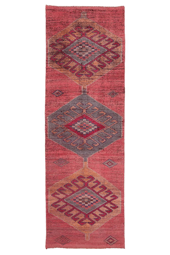 Lasenath Persian Style Runner Rug